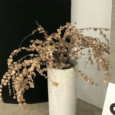 皮山FurryQQ群介绍